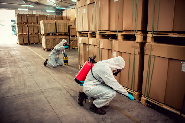 Best Residential Pest Control  in Calhoun Falls, SC
