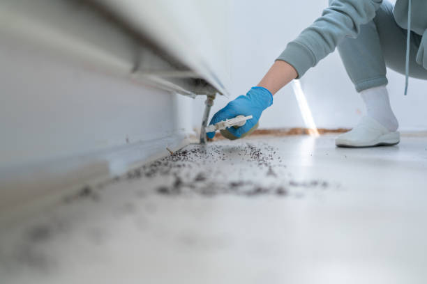 Flea Control Services in Calhoun Falls, SC