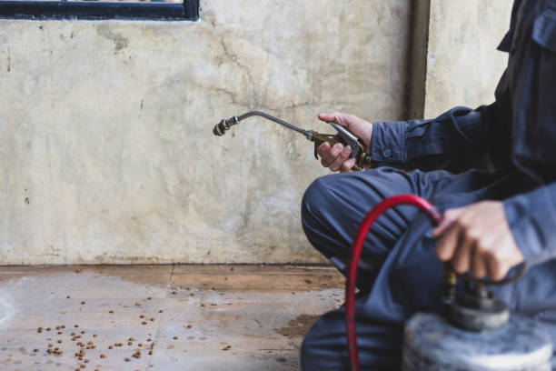 Best Pest Inspection Near Me  in Calhoun Falls, SC
