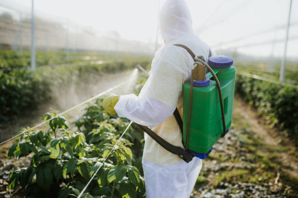 Best Ant Control Services  in Calhoun Falls, SC